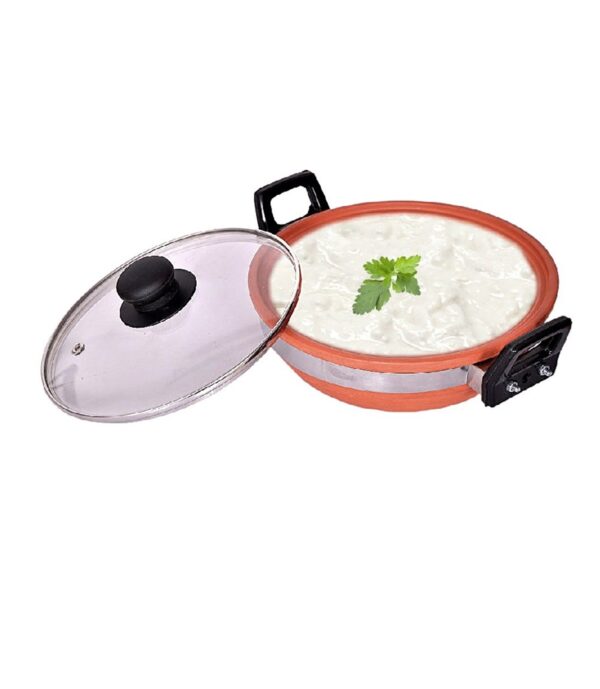 Dahi Handi (1 Liter)