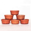Clay Katori Serving Bowl – Pack of 6 (Small, 20ml)